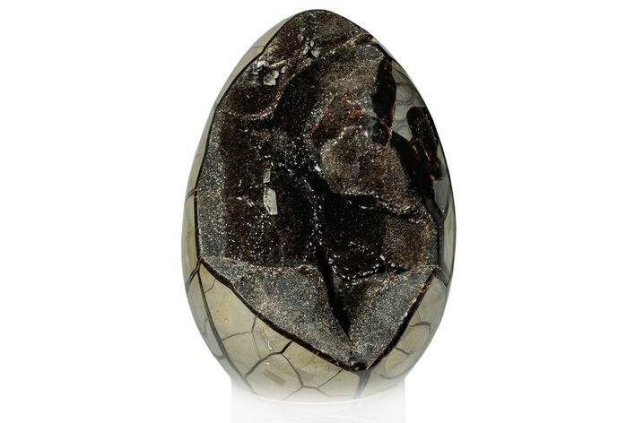 Septarian Dragon Egg Geode - Black Crystals #302862